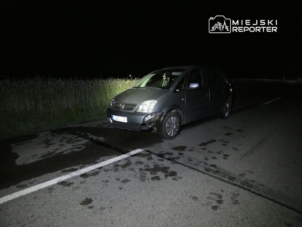 fot. Miejski Reporter