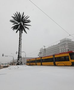 Mazowieckie. IMGW ostrzega przed silnym mrozem