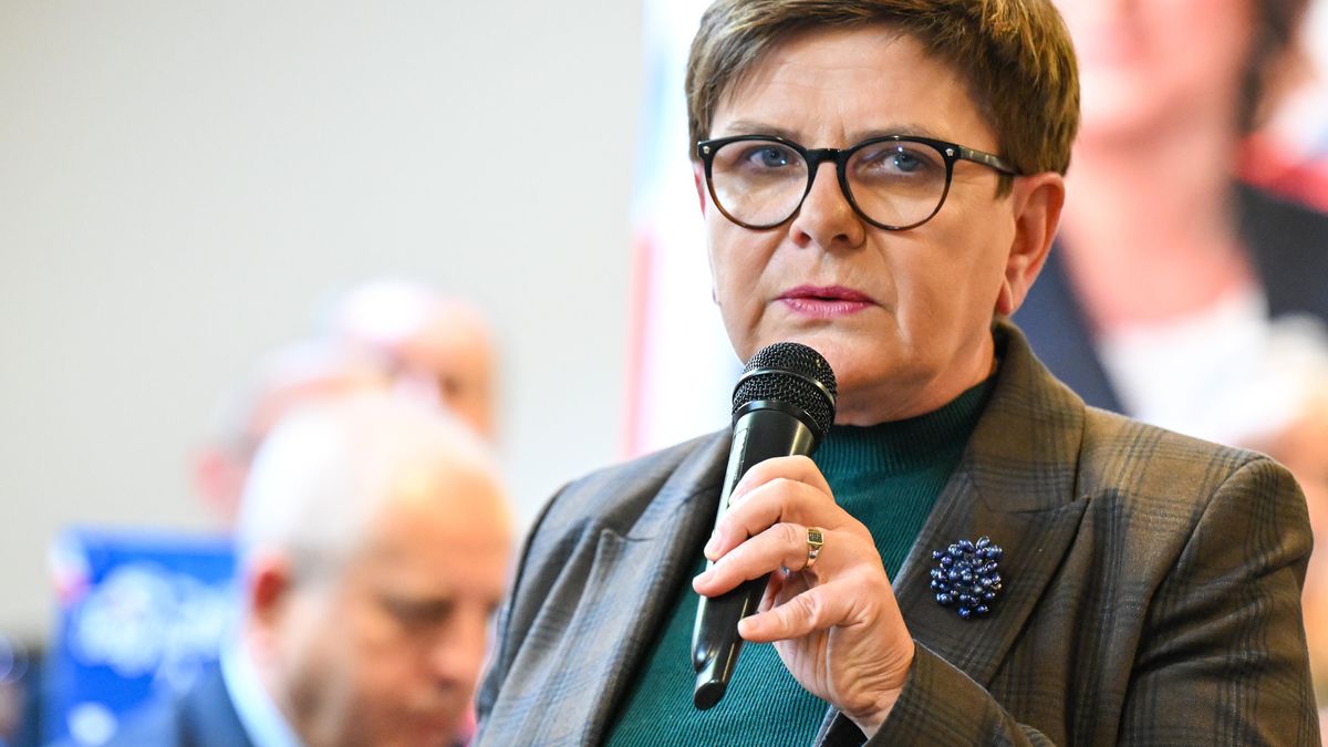 Beata Szydło/ zdjęcie ilustracyjne
