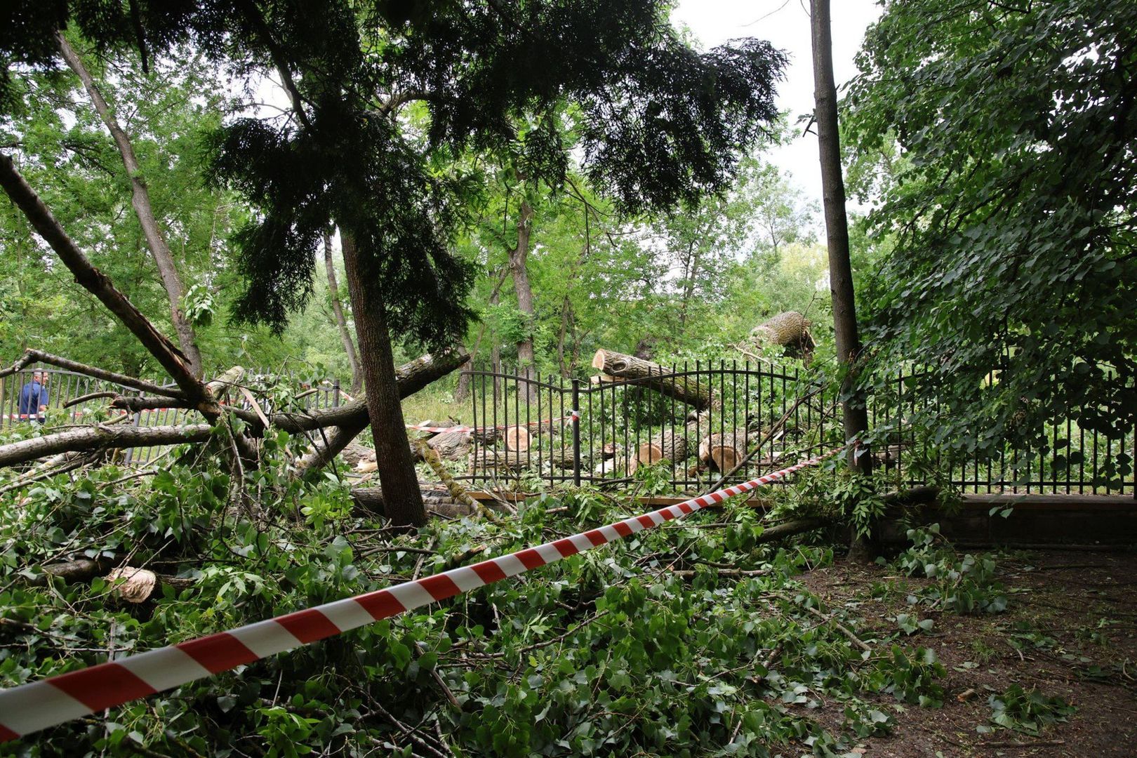 Teren został zabezpieczony przez strażaków.