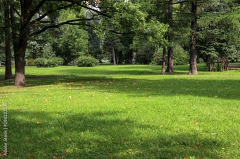 Gdzie na weekend: Odpocznij w cieniu drzew. Czarodziejskie miejsce z klimatem, za to bez tłumów