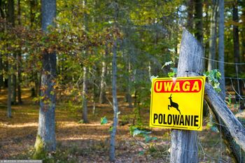 Tragiczny finał polowania. Kto oddał strzał do 60-latka?