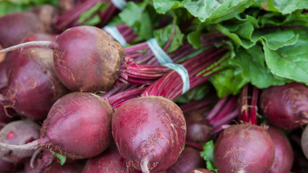 Betanina zawarta w burakach może pomóc w walce z alzheimerem