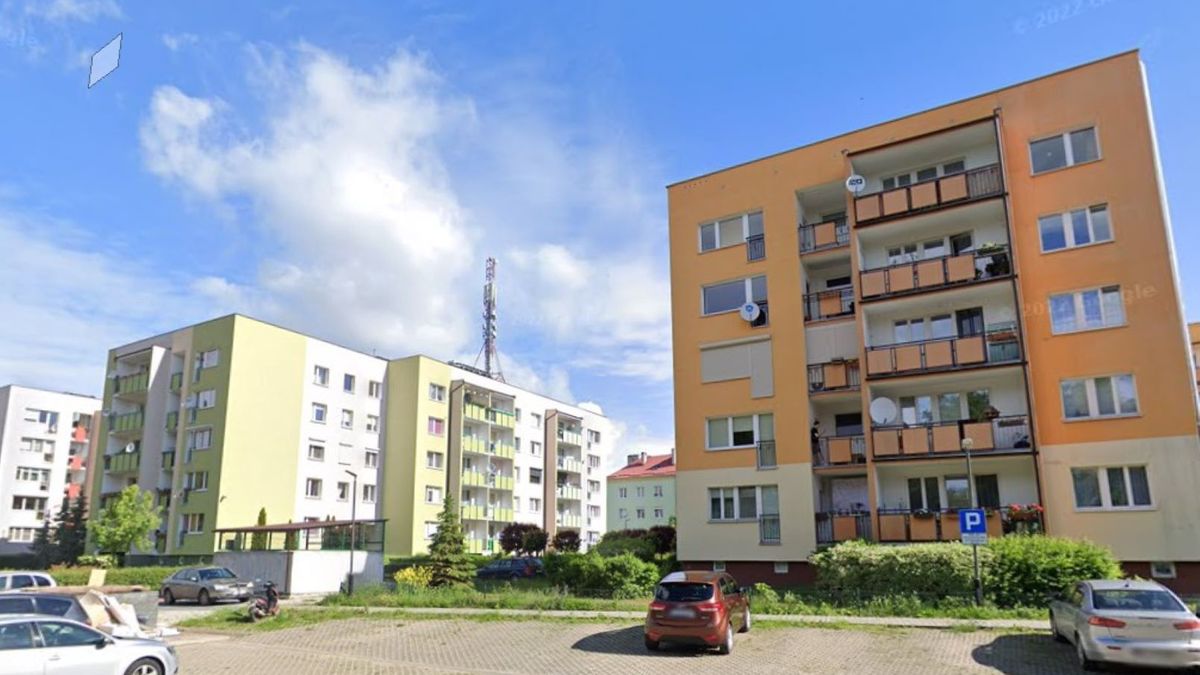 Agresywne psy polują na ludzi na poznańskim osiedlu Głuszyna 