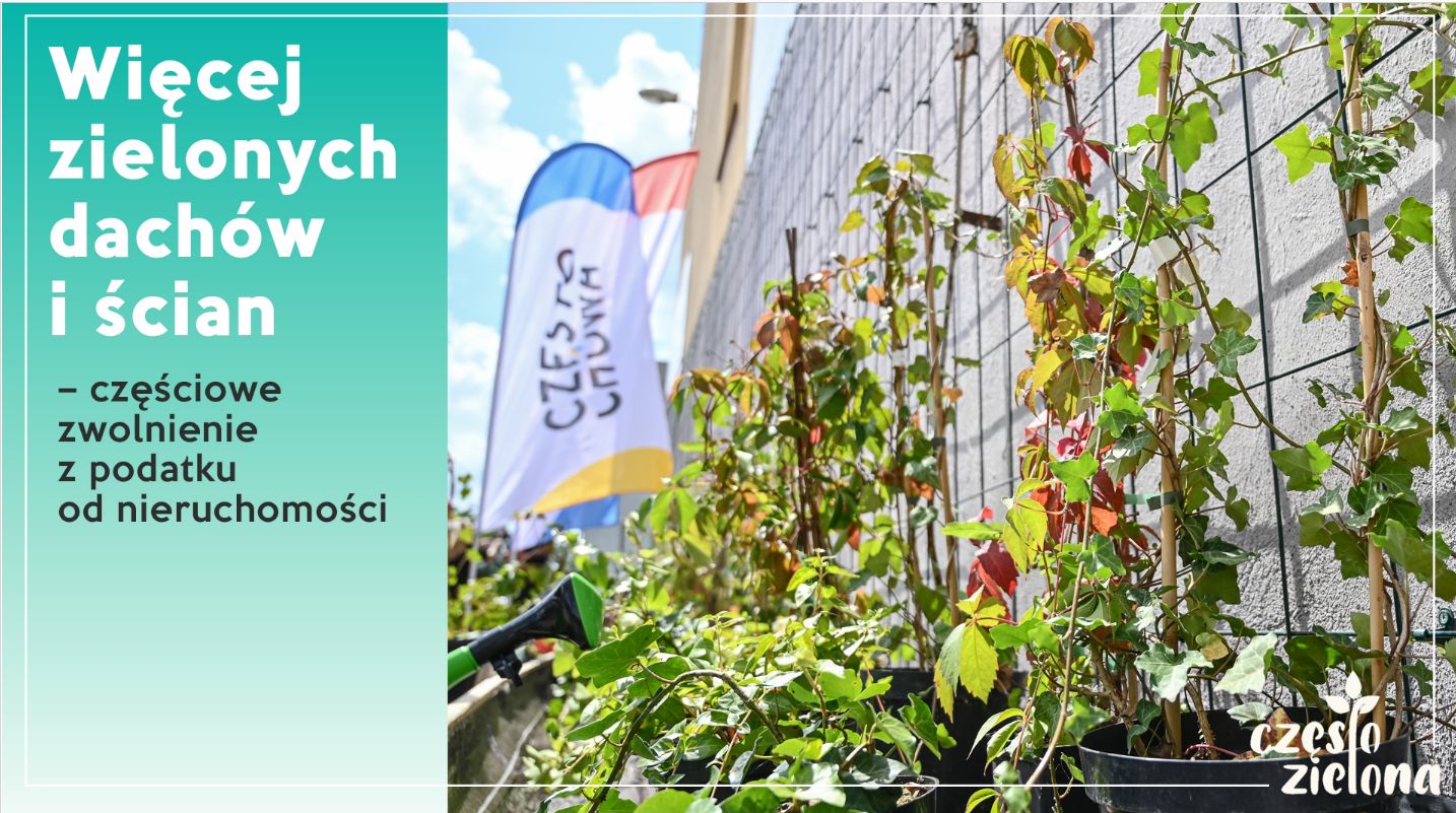 Zwolnienie z podatku w zamian za więcej zieleni. Samorządowcy z Częstochowy chcą zmotywować mieszkańców. 