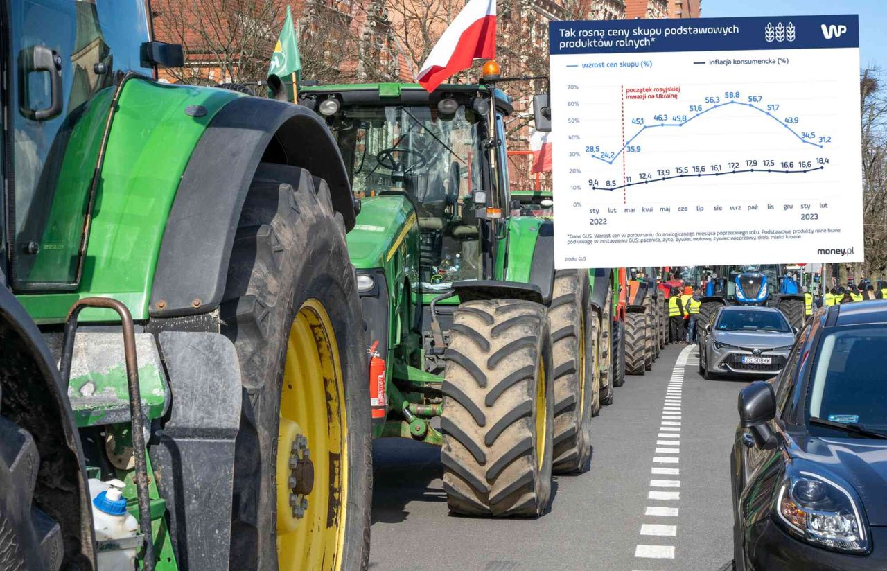 Oto dlaczego ukraińskie zboże to dla polskich rolników duży problem