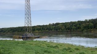 Dobra wiadomość nie tylko dla miłośników przyrody. Zapadła decyzja w sprawie dofinansowania Doliny Dolnej Odry