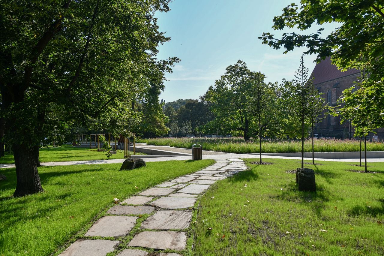 Pogoda. Wrocław. 19 sierpnia - nadciąga ocieplenie. Wraz z nim burze