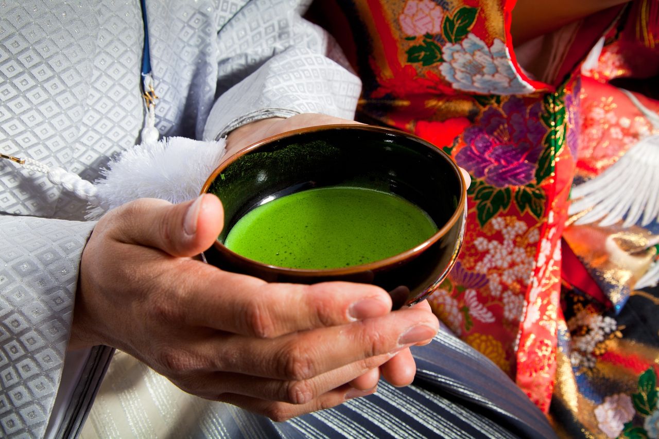 Matcha is the source of longevity.