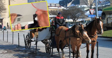 Dzieci aż wypadły z powozu. Pijany woźnica uciekł