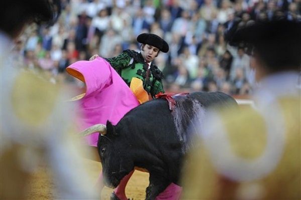 Obraz