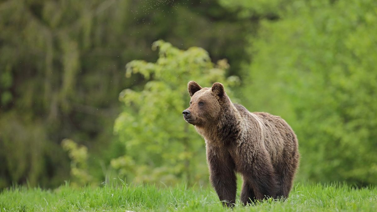 Tatrzański Park Narodowy ostrzega turystów