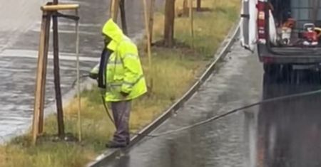 Szczecin. Podlewał drzewa w trakcie deszczu. Jest komentarz