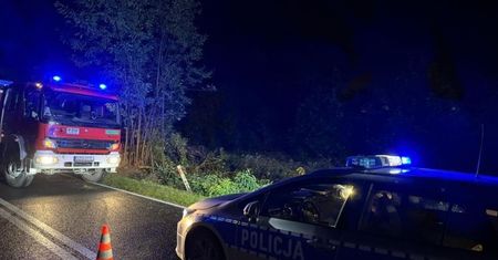 Zgorzelec: Zjechała z drogi i dachowała. Kobieta zginęła na miejscu. Dziecko trafiło do szpitala