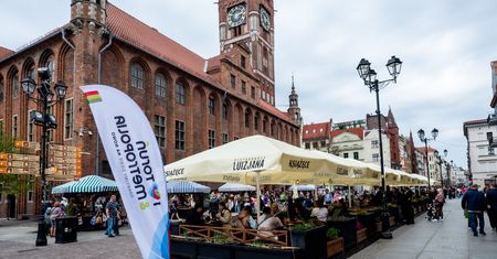 Obszary wokół Torunia i Bydgoszczy zostały rozdzielone. Statystycznie