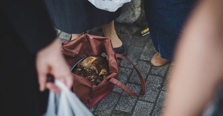 ”Słabe żarty i mocne zdjęcia” to specjalność Elżbiety Adamskiej vel "Nieśmigielskiej"