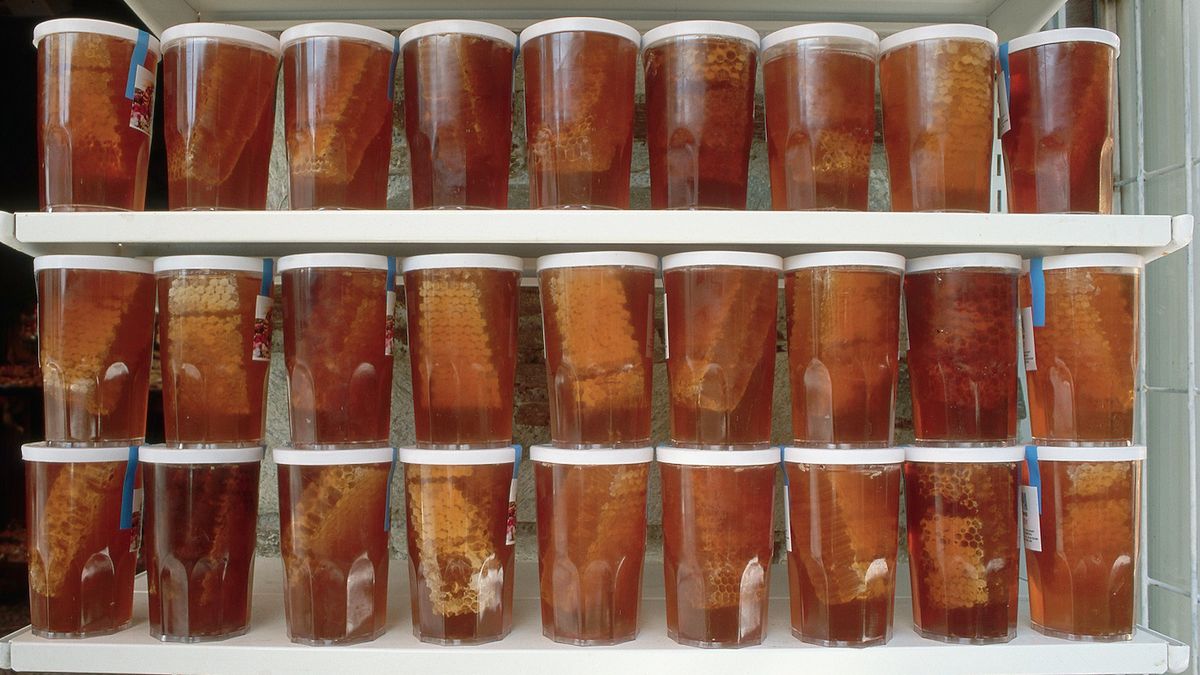 Który miód jest najlepszy?