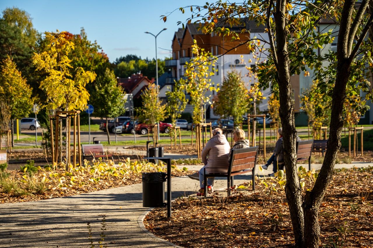 Rynek Koszycki w Pile po przebudowie
