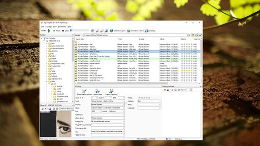 mp3Tag Pro