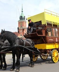 Omnibusy znów pojawią się na ulicach Warszawy