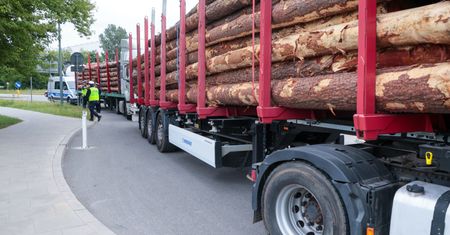 Mniej drewna trafi do sprzedaży. Lasy Państwowe chcą ważnych zmian