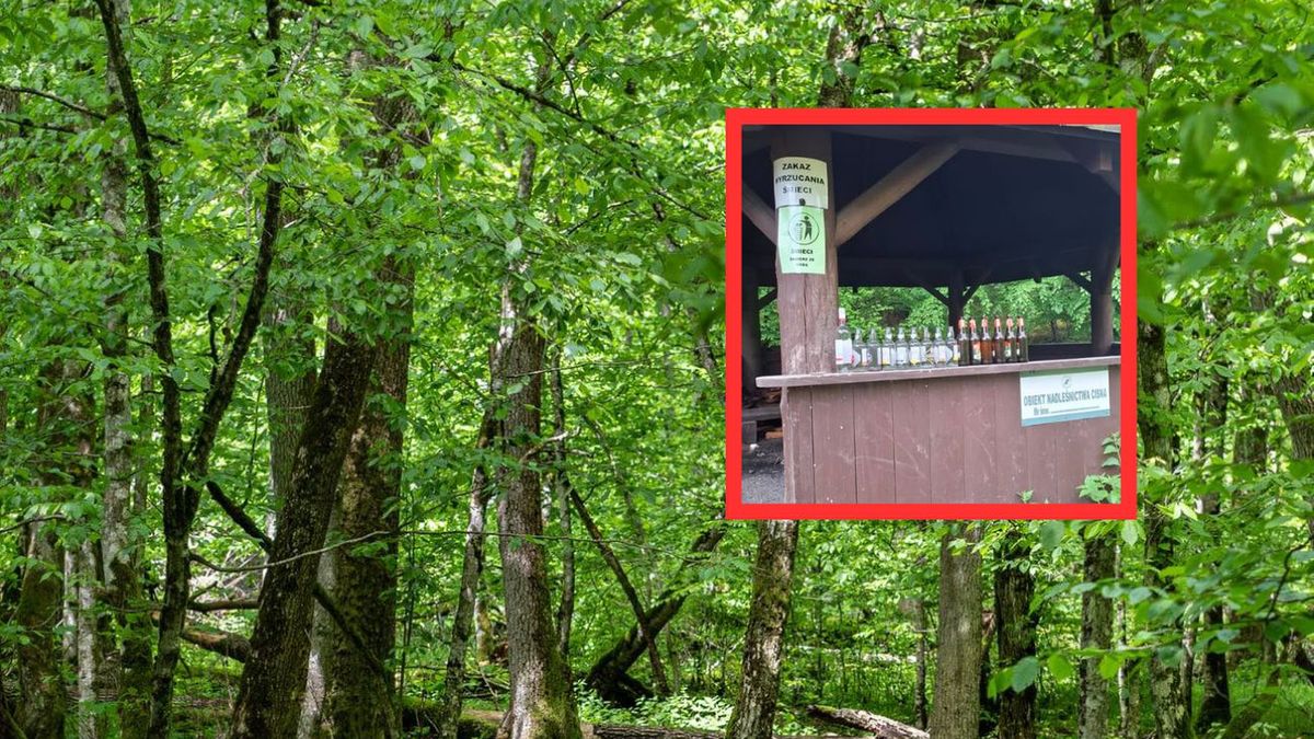 Śmieci w sercu Bieszczad. Kolejny smutny widok