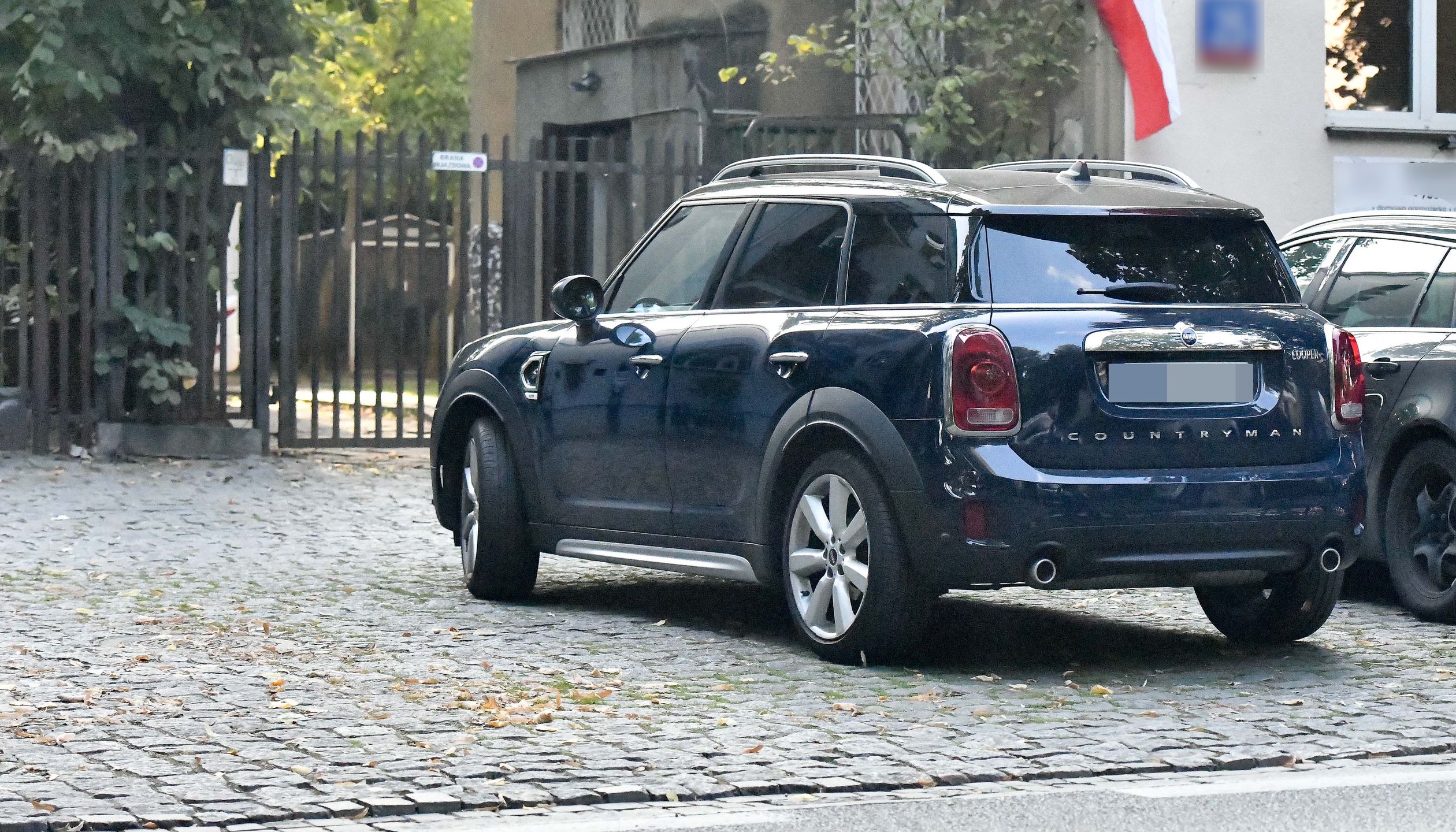 Viola Kołakowska znów parkuje na zakazie