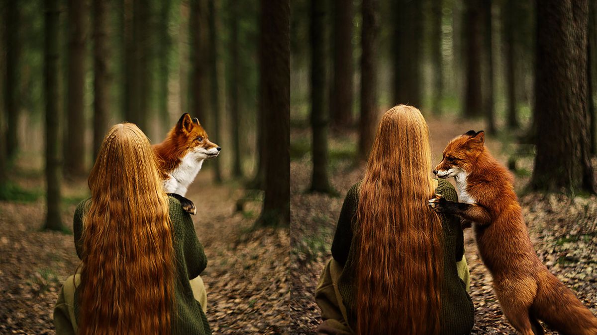 Lisek i ruda dziewczyna zapozowali do przepięknych zdjęć 1