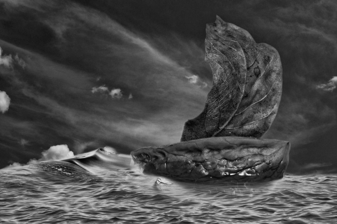 Polacy nagrodzeni w konkursie MonoVisions Photography Awards 2018 4