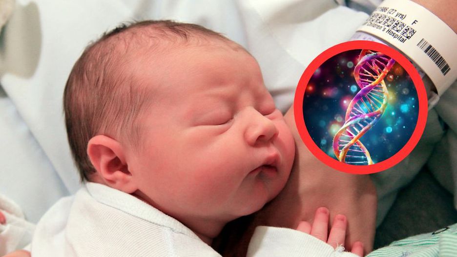 Dziedziczymy nie tylko po rodzicach. Jakie cechy przekazują nam przodkowie?