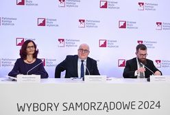 Wybory samorządowe 2024. PKW podała dane o frekwencji