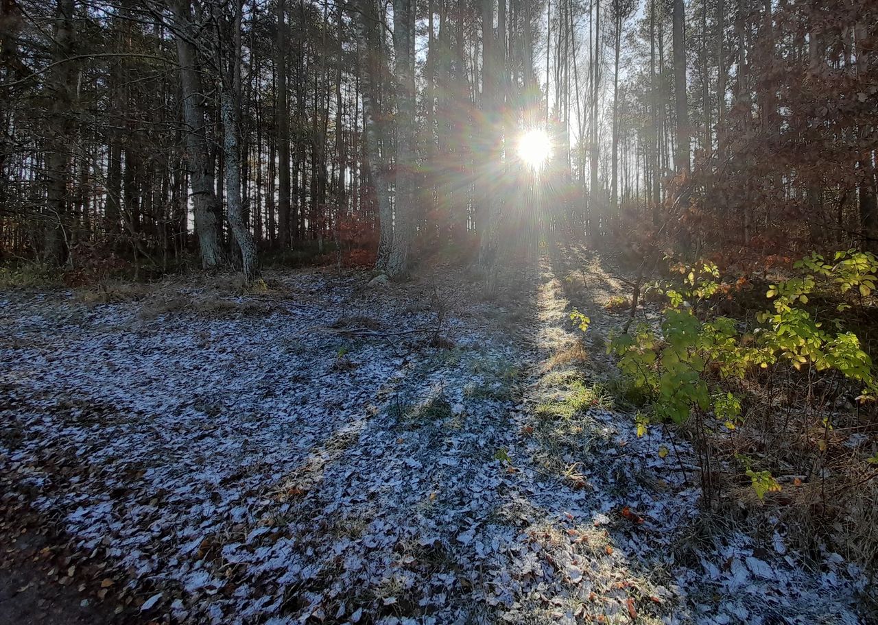 Pierwszy śnieg. Biały poranek na Pomorzu