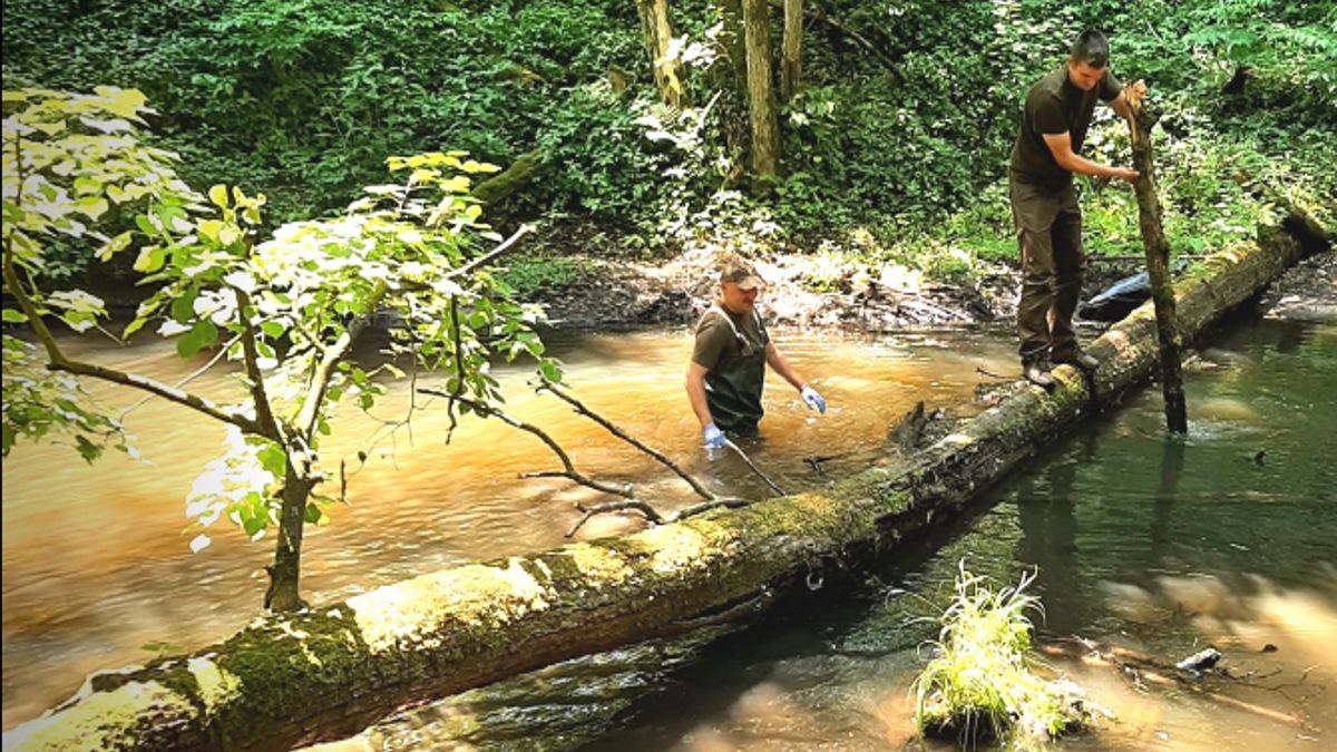 Leśnicy zastali okropny widok w Borach Tucholskich. To efekt ich pracy.