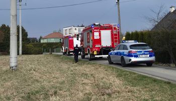 13-latek nie żyje. "Nawet dla biegłego jest to zastanawiające"