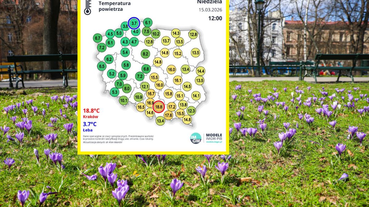 Przed nami ochłodzenie. Mogą wystąpić opady deszczu