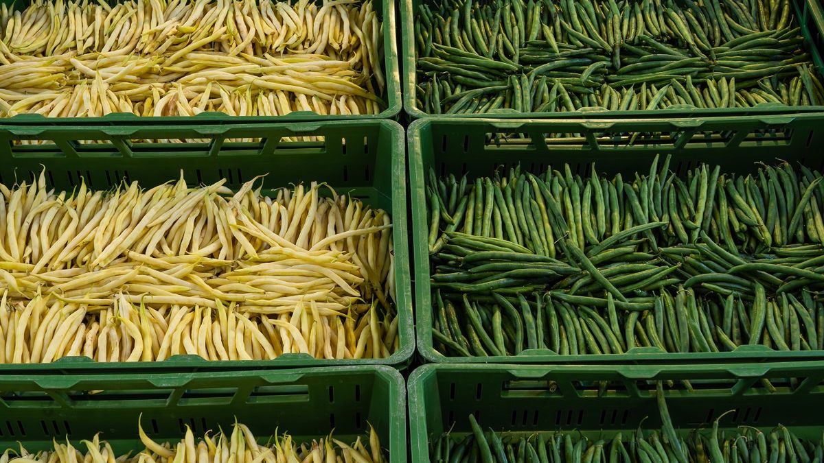 Zdjęcie ilustracyjne. 