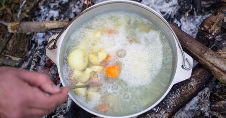 Leśny survival na serio. Te rośliny mogą cię nakarmić
