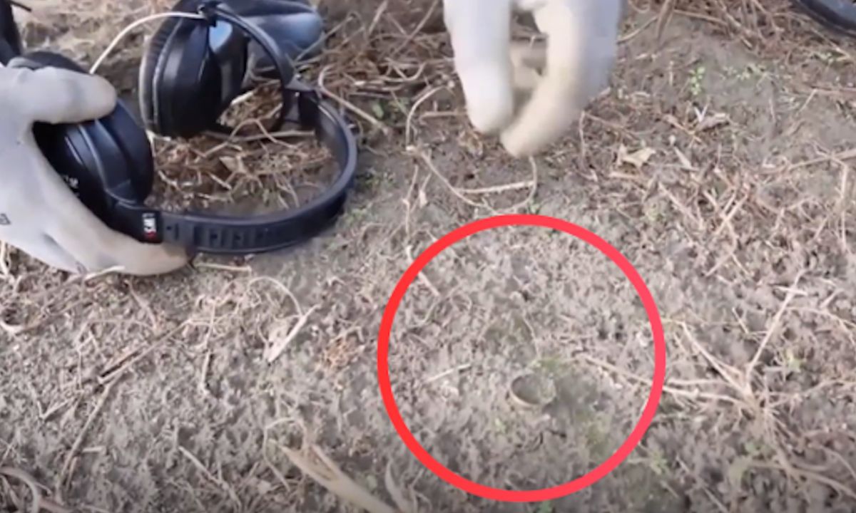 Trafili na nie w szczerym polu. "To jest niecodzienne znalezisko"