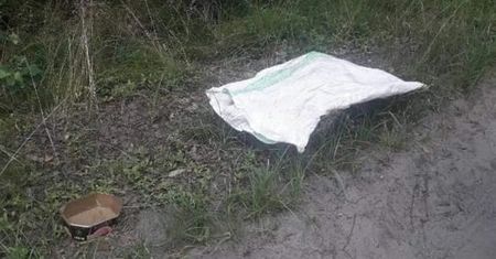 "Tak potrafi tylko pies". Wstrząsający widok w lesie pod Rojewem