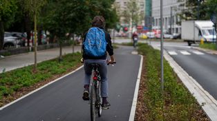 Warszawa: Ponad kilometr nowej trasy i dziesiątki drzew. Zakończono dużą przebudowę