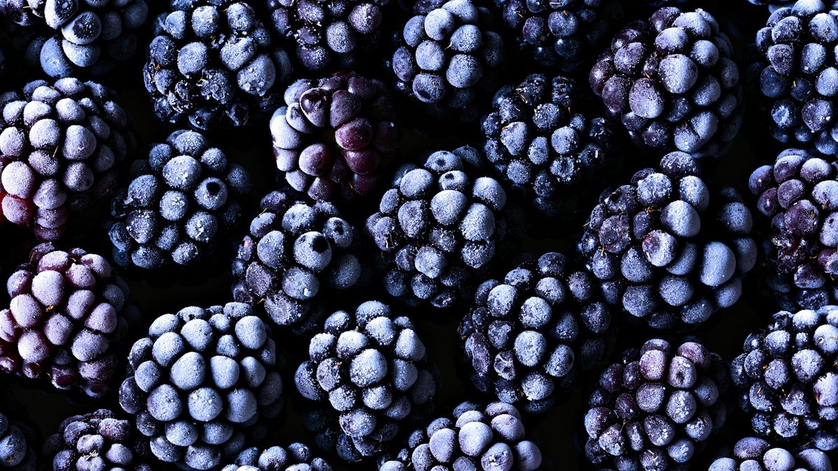 Frozen Blackberries
Full frame image of frozen fresh blackberries
Photo by Cathy Scola