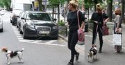 Zborowska z suczką Wiesią walczą o uwagę paparazzi