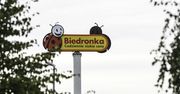 Biedronka kusi studentów i uczniów. Dostaną nawet 5,5 tys. zł na rękę!