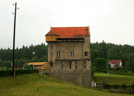 Obraz