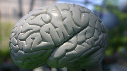 Sprawdź swoją koordynację i pamięć epizodyczną 1