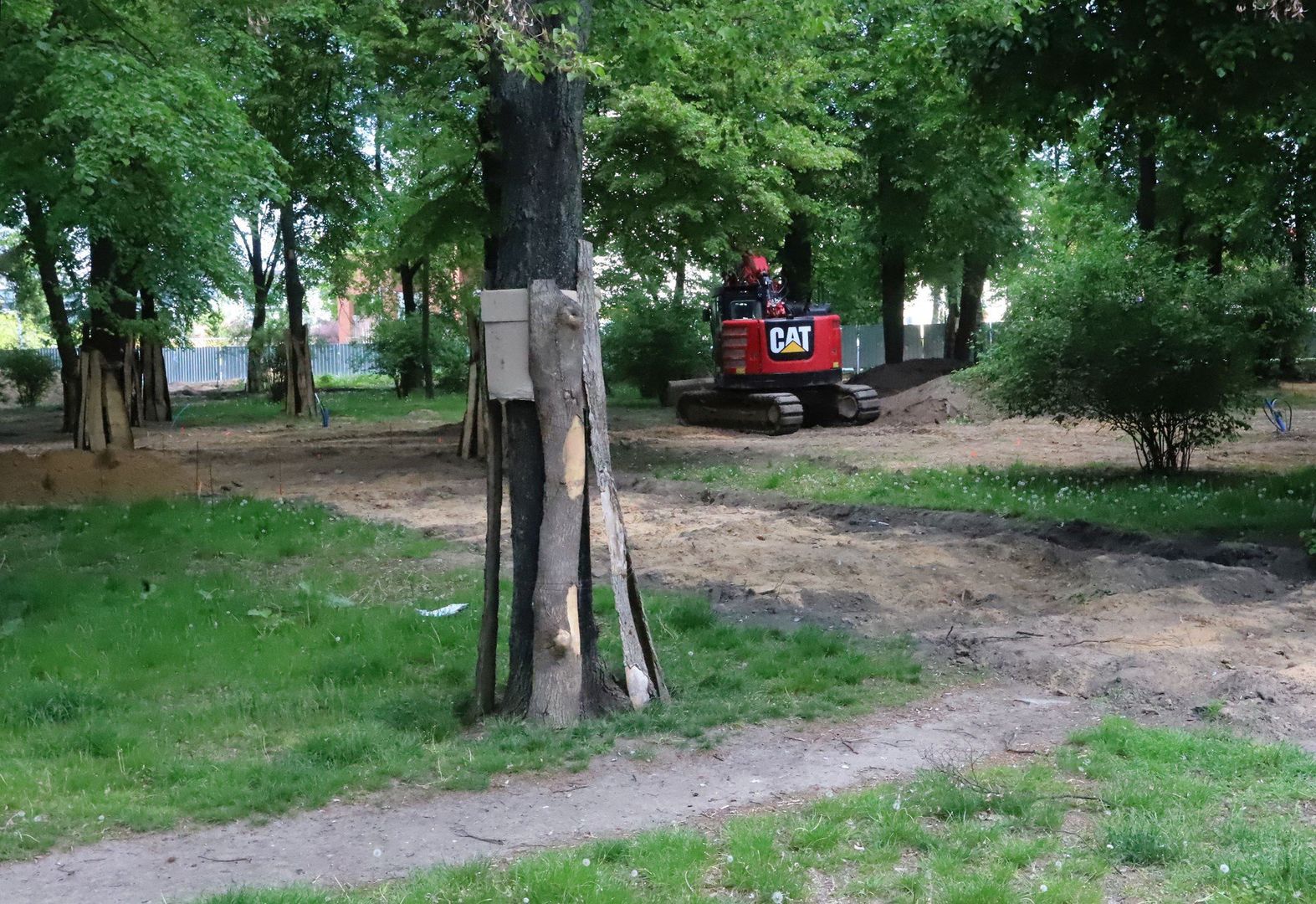 Drzewa na czas remontu zostały zabezpieczone 