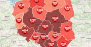 Koronawirus w Polsce. Aż 19 ofiar śmiertelnych. Specjalna mapa pokazuje najświeższe dane