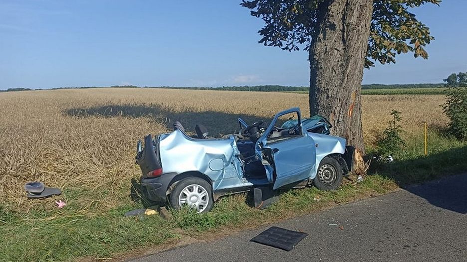 Wypadek koło Gniezna