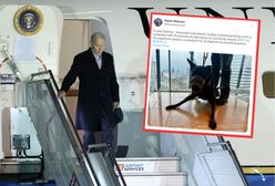Joe Biden w Warszawie. Prezydenta strzeże nietypowy ochroniarz. Dakota "ma polskie korzenie"