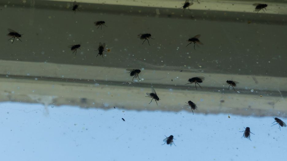 Nie wszyscy znają ten sposób